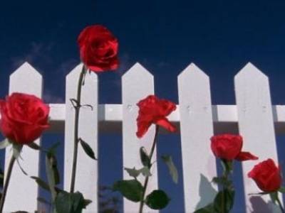 Keep off my&nbsp;boundaries!