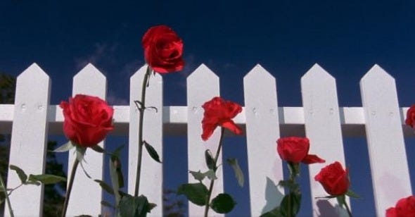 Keep off my&nbsp;boundaries!